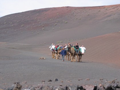 Pivoine et Lanzarote