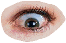 Mon oeil droit
