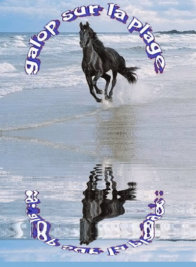 Le cheval