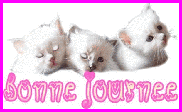 Petit coucou