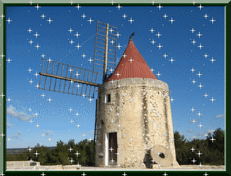 Photo du jour