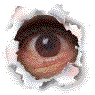 Encore une histoire d'oeil