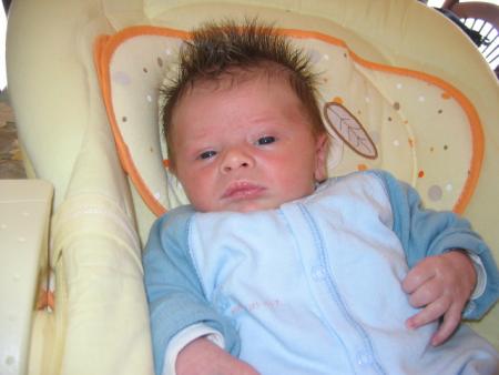 Mon petit punk