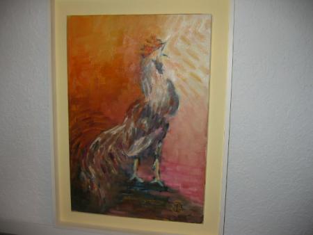 Un coq qui m'est cher!!!!