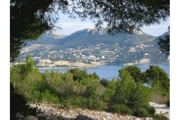 Encore Cassis!!!!!!!!!!!!