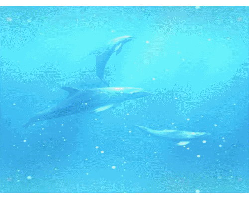 Fonds des mers