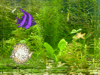 les poissons d'avril