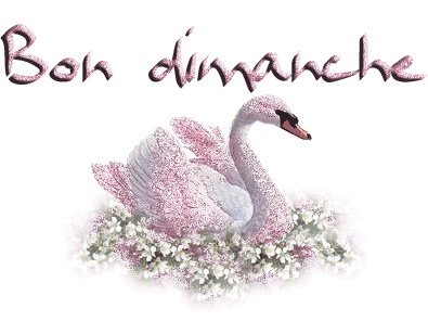Bon dimanche !!!!