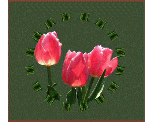 Oh!!!!!!!!!!Les fleurs