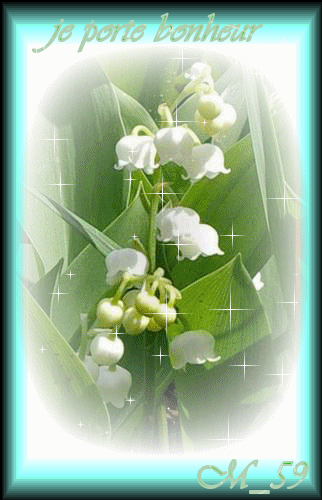 Muguet du 1er Mai