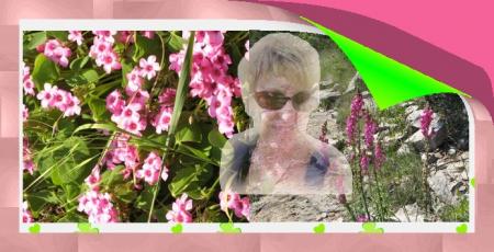 Les fleurs du chemin