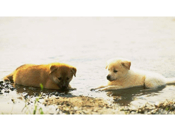 Si mignons!!!!!!!!!!!!!!!!
