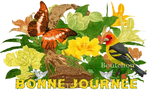 Merci Boutchou