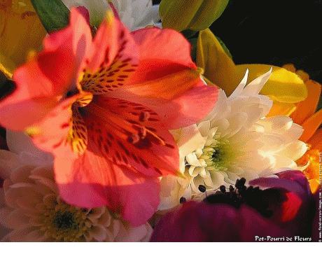 Des fleurs pour les mamans