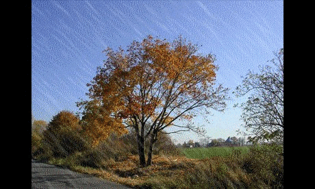 La pluie et les orages