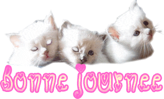 Bonne journée!!!!!