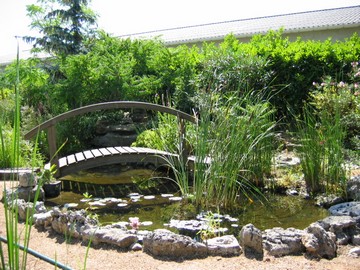 Notre pièce d'eau..........