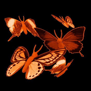 Les papillons