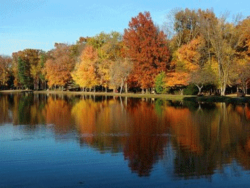 Paysages adorables.........