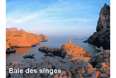 Marseille et ses calanques