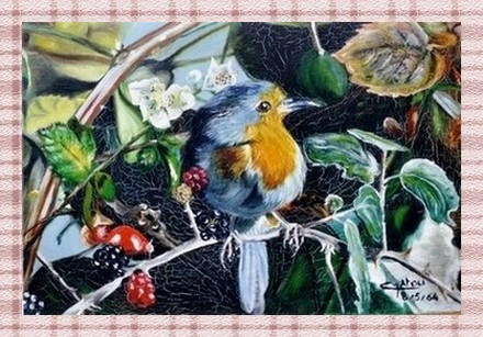 Oiseau et mûres