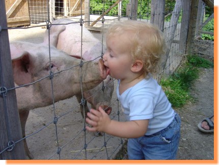 Bisou-cochon