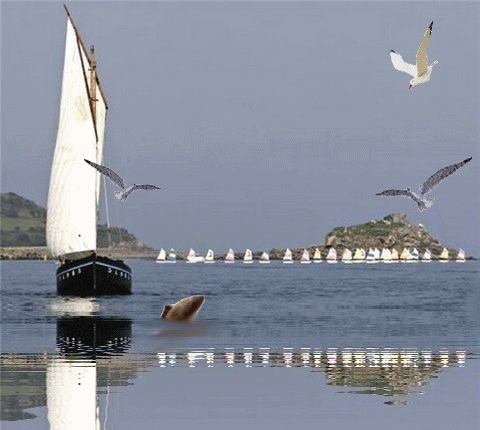 Autour du bateau