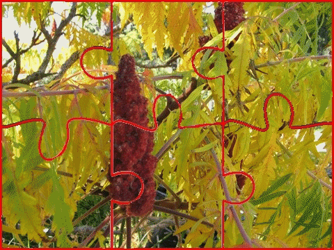 Puzzle aux couleurs d'automne