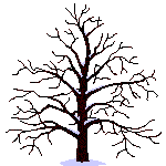 1 évènement, 1 arbre