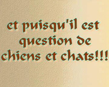 Comme chien et chat?????