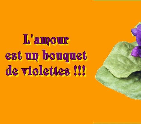 L'amour est un bouquet de violettes