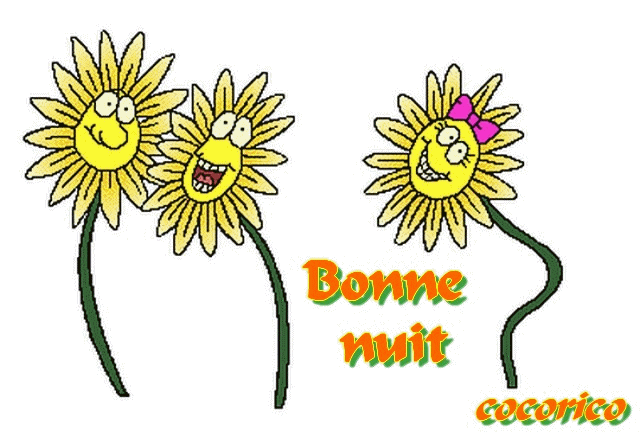 Bonne nuit