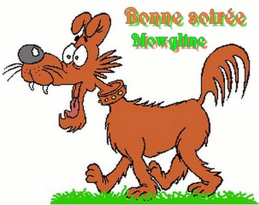 Bonne soirée