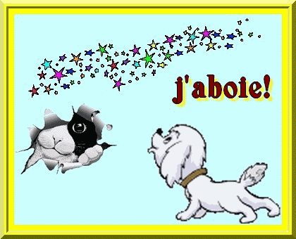 chien et chat !