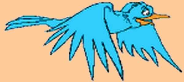 Fais comme l'oiseau