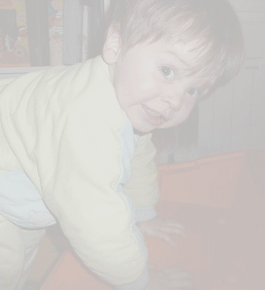 Willy
