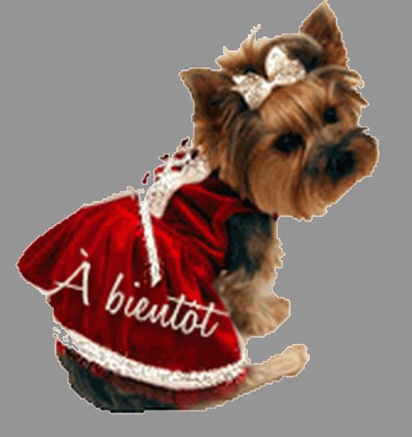 Pépette